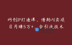 网创IP打造课,借助AI卖项目月赚5万+,含引流技术