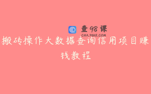 搬砖操作大数据查询信用项目赚钱教程