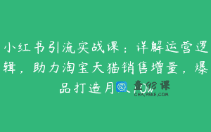小红书引流实战课：详解运营逻辑，助力淘宝天猫销售增量，爆品打造月入10w