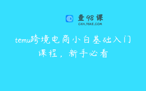 temu跨境电商小白基础入门课程，新手必看