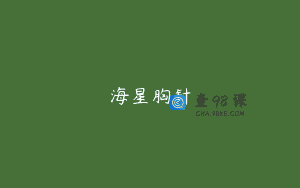 海星胸针