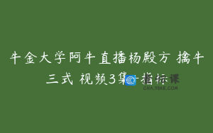 牛金大学阿牛直播杨殿方 擒牛三式 视频3集+指标