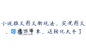 小说推文图文新玩法，实况图文，万播二十单，这转化太牛了