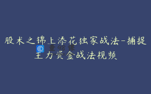 股术之锦上添花独家战法-捕捉主力资金战法视频