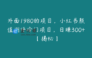 外面1980的项目,小红书颜值测评冷门项目,日赚300+【揭秘】