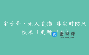 宝子哥·无人直播-非实时防风技术（更新11月）