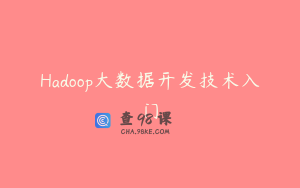 Hadoop大数据开发技术入门