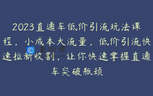 2023直通车低价引流玩法课程，小成本大流量，低价引流快速拉新收割，让你快速掌握直通车突破瓶颈