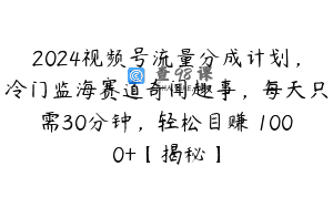 2024视频号流量分成计划，冷门监海赛道奇闻趣事，每天只需30分钟，轻松目赚 1000+【揭秘】
