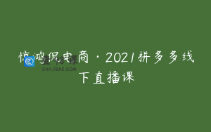 惊鸿侃电商·2021拼多多线下直播课