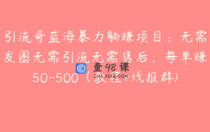 引流哥蓝海暴力躺赚项目：无需发圈无需引流无需售后，每单赚50-500（教程+线报群) 