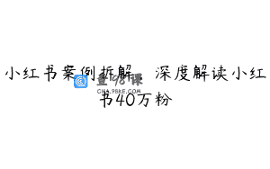 小红书案例拆解，深度解读小红书40万粉