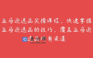 亚马逊选品实操课程，快速掌握亚马逊选品的技巧，覆盖亚马逊选品所有渠道