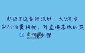 超级IP流量陪跑班，大V流量密码倾囊相授，可直接落地的实操步骤