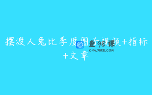 摆渡人兔比季度圈子视频+指标+文章