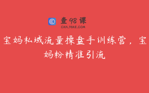 宝妈私域流量操盘手训练营，宝妈粉精准引流