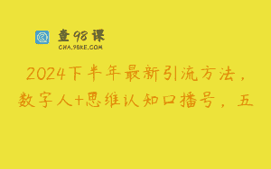 2024下半年最新引流方法，数字人+思维认知口播号，五