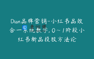 Dian品牌营销-小红书品效合一系统教学, 0~1阶段小红书新品投放方法论