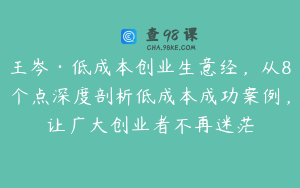 王岑·低成本创业生意经，从8个点深度剖析低成本成功案例，让广大创业者不再迷茫