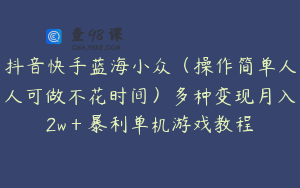 抖音快手蓝海小众（操作简单人人可做不花时间）多种变现月入2w＋暴利单机游戏教程