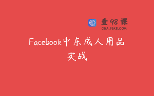Facebook中东成人用品实战