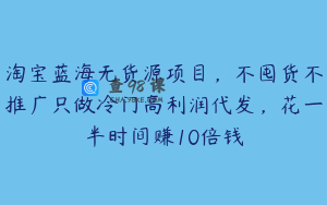 淘宝蓝海无货源项目,不囤货不推广只做冷门高利润代发,花一半时间赚10倍钱