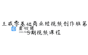 王威零基础商业短视频创作班第5期视频课程
