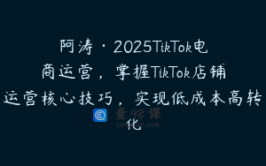 阿涛·2025TikTok电商运营，掌握TikTok店铺运营核心技巧，实现低成本高转化