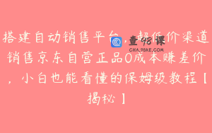 搭建自动销售平台，超低价渠道销售京东自营正品0成本赚差价，小白也能看懂的保姆级教程【揭秘】