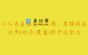 小红书直播变现实操，掌握推流机制/起号/复盘/提升运营力