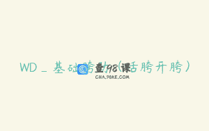 WD_基础胯劲（活胯开胯）