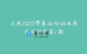 王威2022零基础AE动画商业实训班第1期