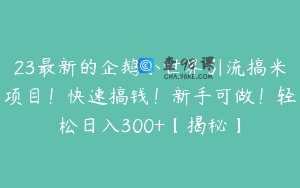 23最新的企鹅小世界引流搞米项目！快速搞钱！新手可做！轻松日入300+【揭秘】