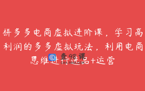 拼多多电商虚拟进阶课，学习高利润的多多虚拟玩法，利用电商思维进行选品+运营