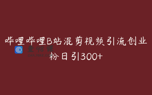 哔哩哔哩B站混剪视频引流创业粉日引300+