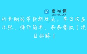 抖音橱窗带货新玩法，单日收益几张，操作简单，条条爆款【项目拆解】