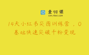 14天小红书突围训练营 ，0基础快速突破千粉变现