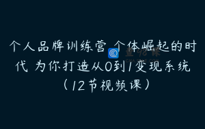 个人品牌训练营 个体崛起的时代 为你打造从0到1变现系统（12节视频课）