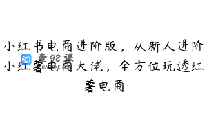 小红书电商进阶版，从新人进阶小红薯电商大佬，全方位玩透红薯电商