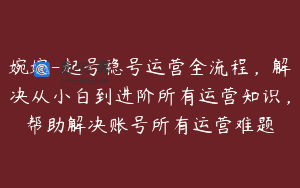 婉婉-起号稳号运营全流程，解决从小白到进阶所有运营知识，帮助解决账号所有运营难题