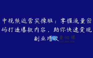 中视频运营实操班：掌握流量密码打造爆款内容，助你快速变现副业增收