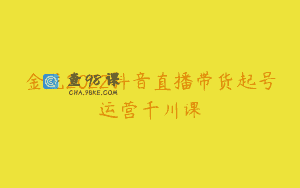 金龙2022抖音直播带货起号运营千川课
