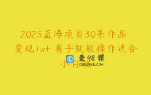 2025蓝海项目30条作品 变现1w+ 有手就能操作适合小白做