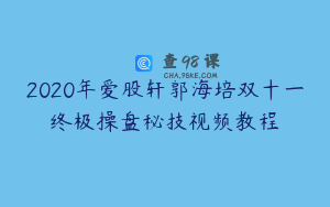 2020年爱股轩郭海培双十一终极操盘秘技视频教程