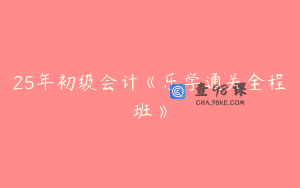 25年初级会计《乐学通关全程班》