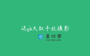 这yb大叔手机摄影