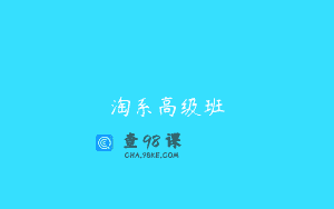 淘系高级班