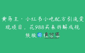 黄岛主·小红书小吃配方引流变现项目,花988买来拆解成视频版课程分享