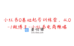 小红书0基础起号训练营，从0-1做博主-小红书电商辣喵