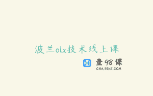 波兰olx技术线上课